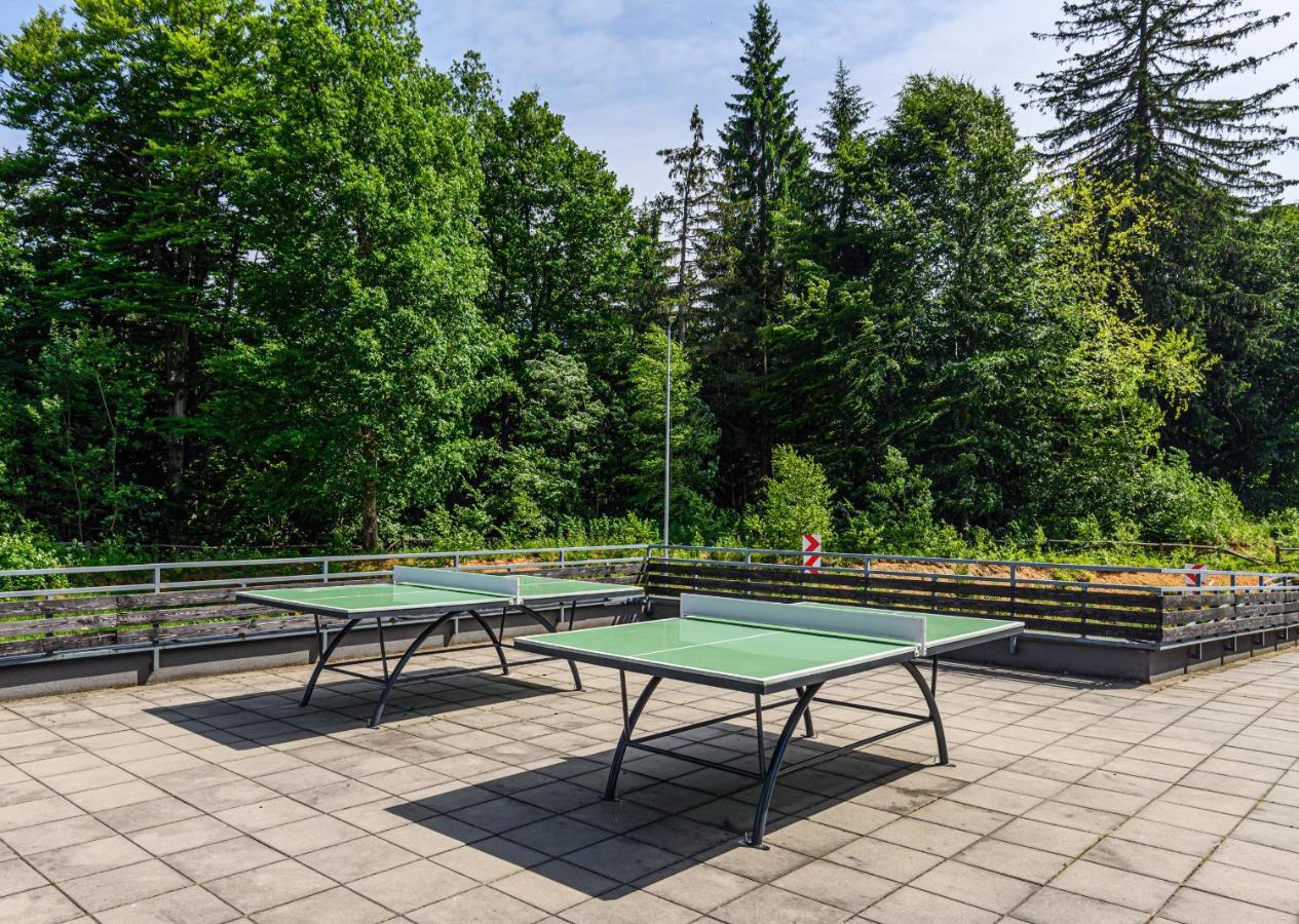 Pine Woods Studio D113 In Silver Mountain Poiana Brasov Εξωτερικό φωτογραφία