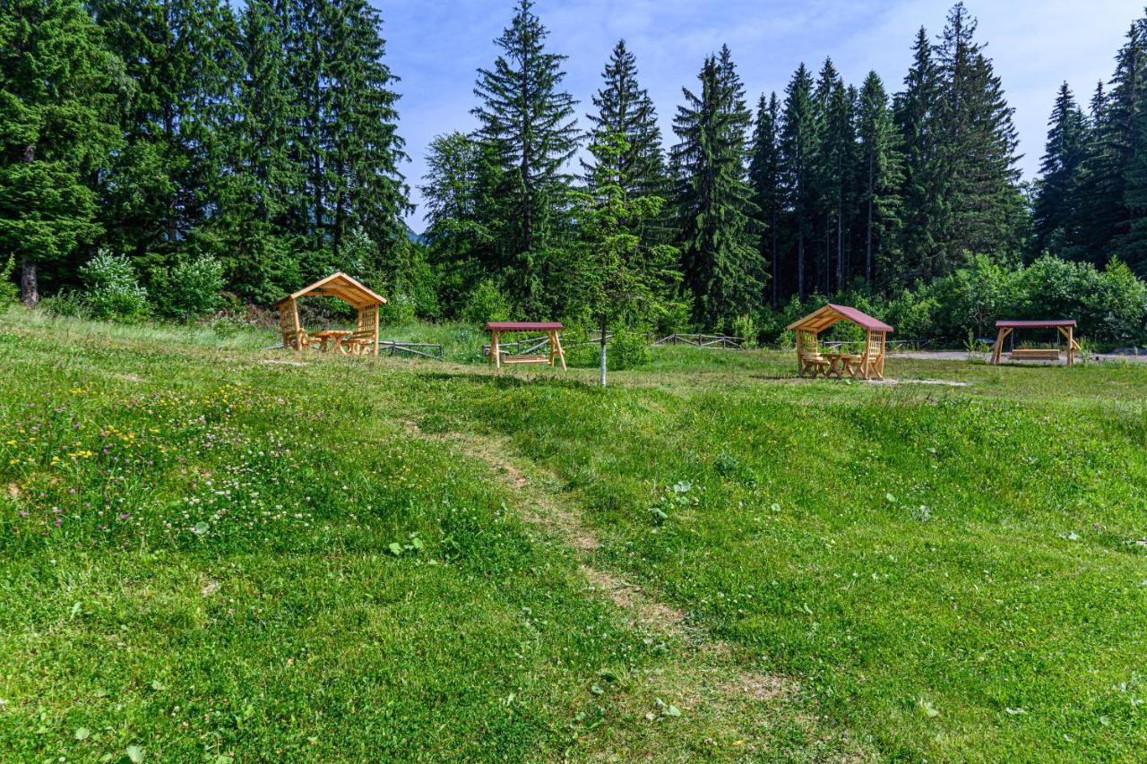 Pine Woods Studio D113 In Silver Mountain Poiana Brasov Εξωτερικό φωτογραφία